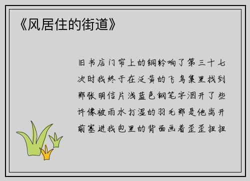《风居住的街道》