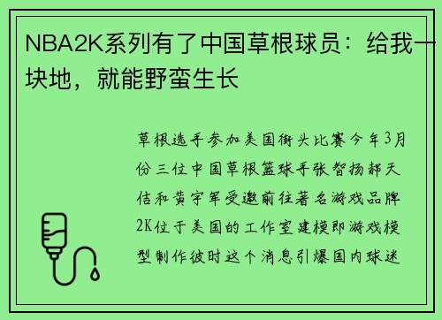 NBA2K系列有了中国草根球员：给我一块地，就能野蛮生长